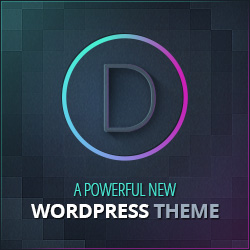 Divi Theme and Builder